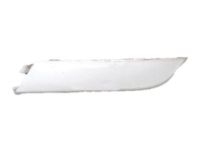 GM 25832915 Rail Cover, Driver Side