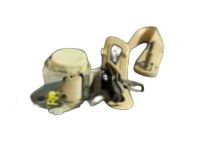 GM 19331001 Buckle, Black, Rear Passenger Side