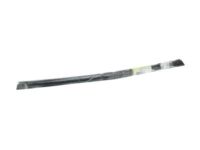 GM 22832142 Belt Weatherstrip, Front