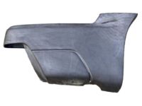 GM 15082065 Side Molding, Rear Lower Passenger Side
