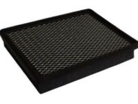 GM 10342024 Air Filter