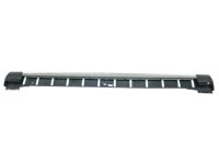 GM 20919401 Finish Molding, Driver Side