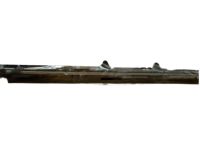 GM 22606362 Belt Molding, Rear Passenger Side