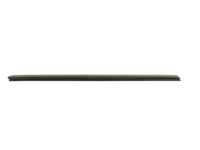 GM 15011041 Belt Weatherstrip, Front Outer Driver Side