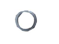 GM 21000207 Seal, Engine Crankcase