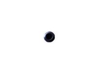 GM 4874119 Plug, Shroud And Dash And Vent Duct Panel, Rear Inner