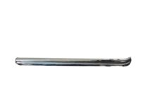 GM 1617114 Molding, Passenger Side