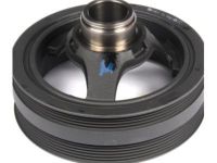 GM 19300488 Vibration Damper