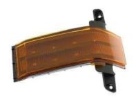 GM 23444106 Lamp Lens, Driver Side