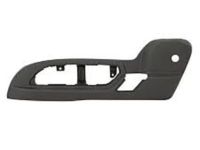 GM 25999717 Outer Finish Panel, Driver Side