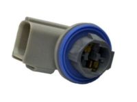 GM 42333981 Socket, Front