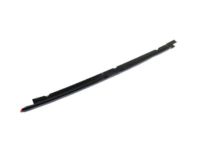 GM 15241119 Outer Molding, Driver Side