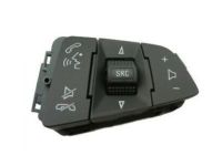 GM 25862239 Radio Control