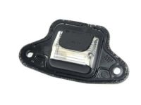 GM 5978317 License Lamp, Rear