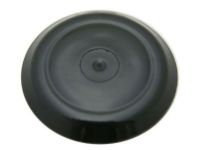 GM 90120285 Inner Quarter Reinforcement Plug