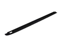 GM 22987367 Upper Molding, Outer Driver Side