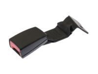 GM 19353484 Tensioner, Jet Black, Passenger Side