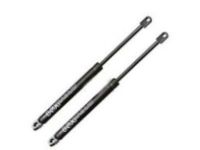 GM 25514798 Assist Rod