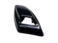 GM 12335888 Cover, Passenger Side
