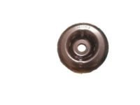 GM 11611679 Lower Retainer