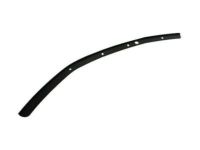 GM 84058355 Upper Molding, Front Driver Side