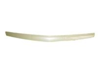 GM 22956470 Front Molding, Black