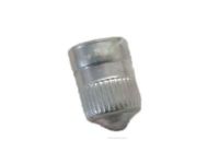 GM 25731359 Transmitter Valve