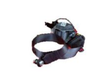 GM 19209516 Buckle End, Titanium
