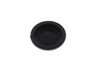 GM 20777338 Bleeder Valve Cap, Rear