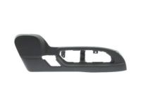 GM 25947610 Outer Finish Panel, Passenger Side