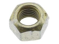 GM 11516843 Strut Nut, Front