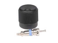 GM 12570619 Service Valve
