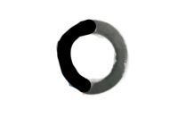 GM 90156055 Washer, Engine Crankshaft/Timing Gear