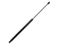 GM 15130343 Lift Cylinder, Driver Side