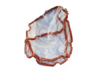 GM 12591200 Valve Cover Gasket, Driver Side