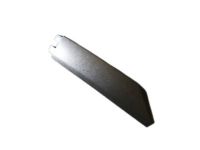 GM 15947192 Front Cover, Titanium