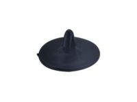 GM 21039129 Insulator Clip, Driver Side