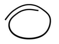 GM 90166288 Hose, Evaporation Emission System(Fuel Tank End)