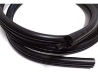 GM 10449198 Door Weatherstrip, Front
