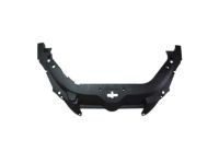GM 20934958 Sight Shield, Front
