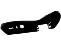 GM 13325377 Outer Finish Panel, Black, Front