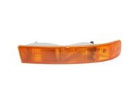 GM 84218438 Parking Lamp, Passenger Side