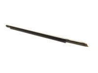 Buick Regal Door Moldings - 10325226 Belt Weatherstrip, Black, Front Driver Side