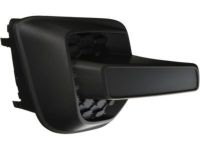 GM 25798750 Hole Cover, Passenger Side