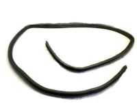 GM 10313535 Weatherstrip, Front