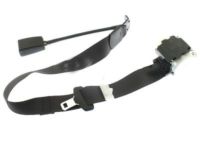 GM 19331651 Lap & Shoulder Belt, Black, Rear Center