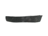 GM 20931825 Deflector, Driver Side