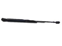 GM 25794897 Lift Cylinder, Passenger Side