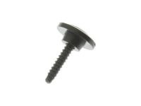 GM 92139212 Rocker Molding Bolt