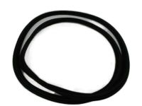 GM 23131014 Weatherstrip, Rear